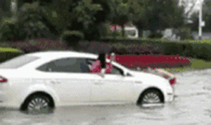 zr1032.gif