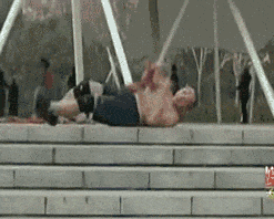 zr956.gif
