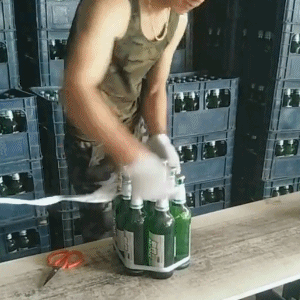 zr955.gif