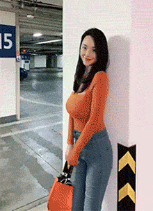 zr951.gif