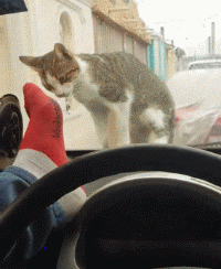 zr912.gif