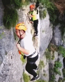 zr905.gif