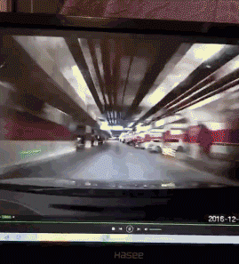 zr889.gif