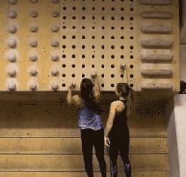 zr883.gif