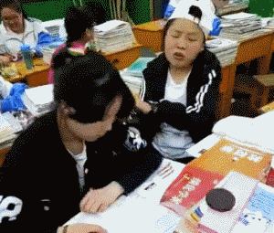zr873 (1).gif