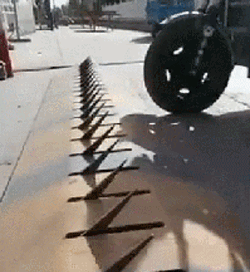 zr855.gif