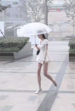 zr854.gif
