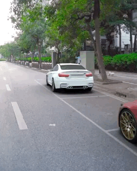 zr851.gif