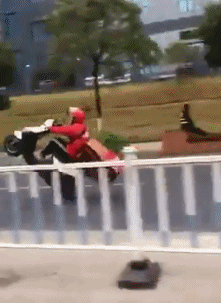 zr845.gif