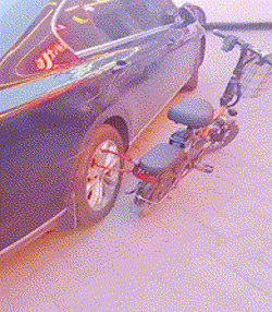 zr824.gif