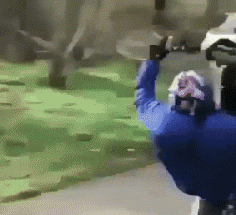 zr821.gif