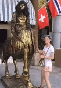 zr817.gif