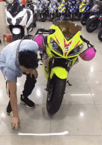 zr806.gif