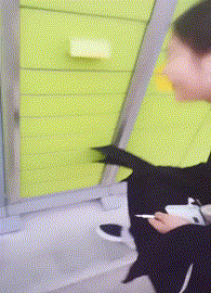 zr803 (1).gif