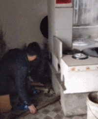zr794.gif