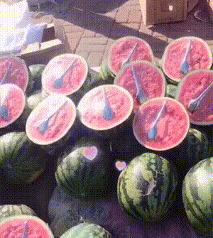 1657515780179899.gif zr790.gif