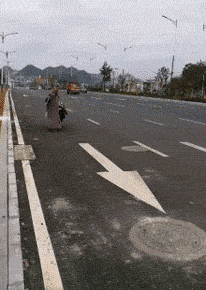 zr787.gif