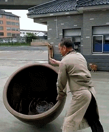 zr774.gif