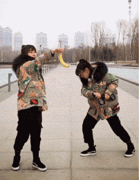 zr772.gif