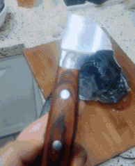 zr748.gif