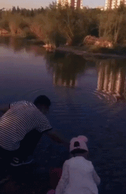 zr745.gif