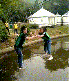 zr735.gif