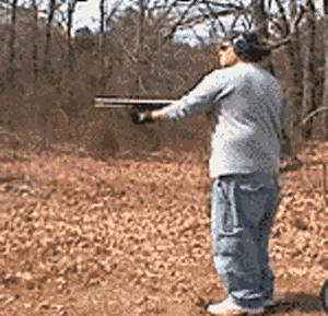 zr716.gif