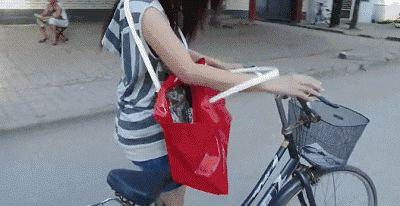 zr661.gif