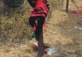 zr660.gif