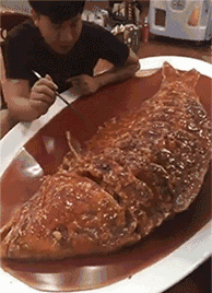 zr623.gif