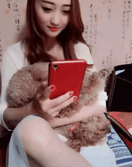 zr587.gif