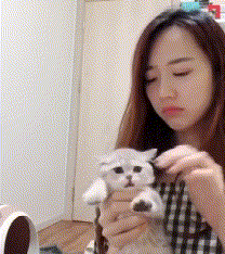 zr556.gif
