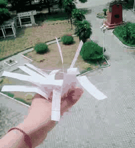 zr554.gif