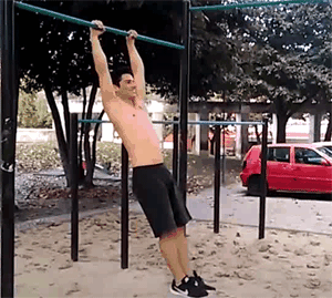 zr552.gif