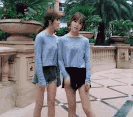 zr551.gif