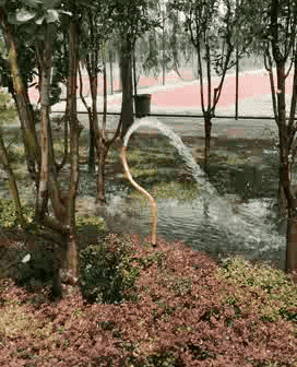 zr549.gif
