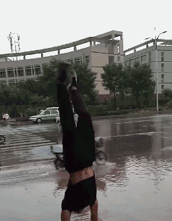 zr527.gif
