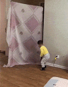zr507.gif