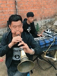 zr502.gif