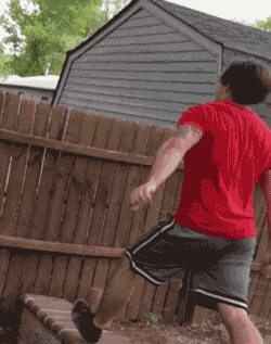 zr493.gif