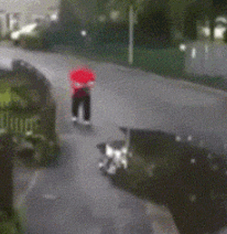 zr472.gif