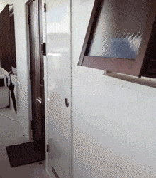 zr456.gif