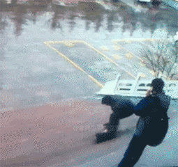 zr439.gif