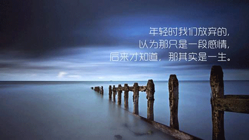 20190608012721663.gif