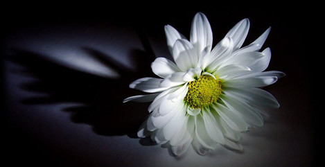 52f862d7a0214c828d503b3f2eeb8da7_th.png