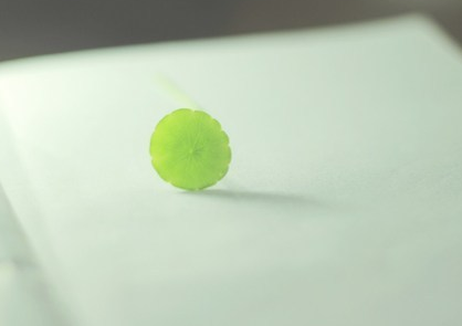 20181204082643334.png