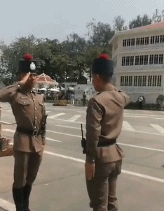 zr406.gif