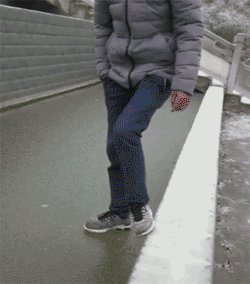 zr402.gif