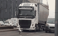 zr368.gif