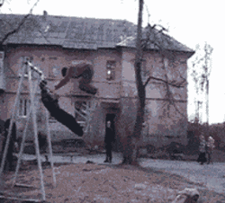 zr367.gif